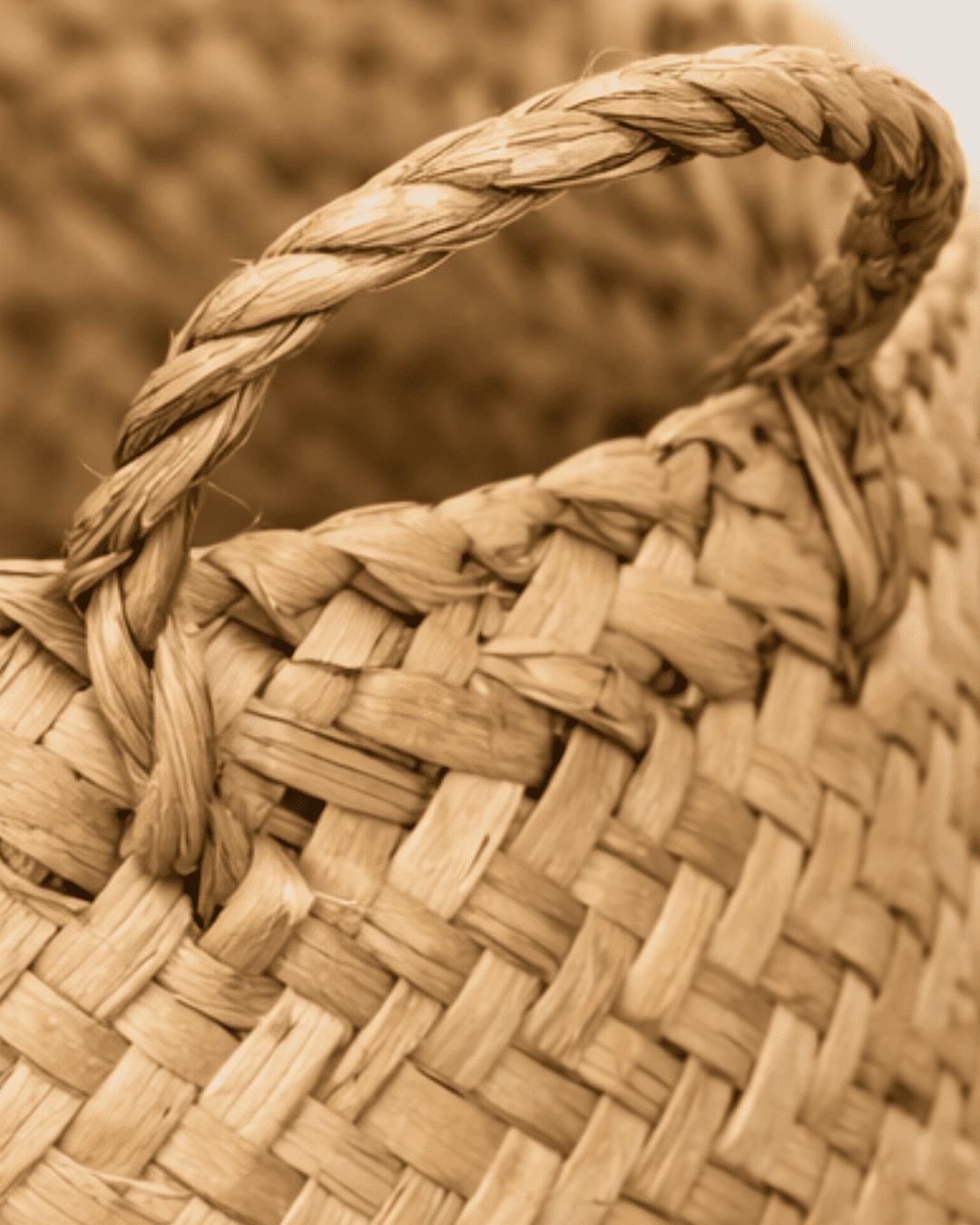 Detalle_cesto_fibras_naturales