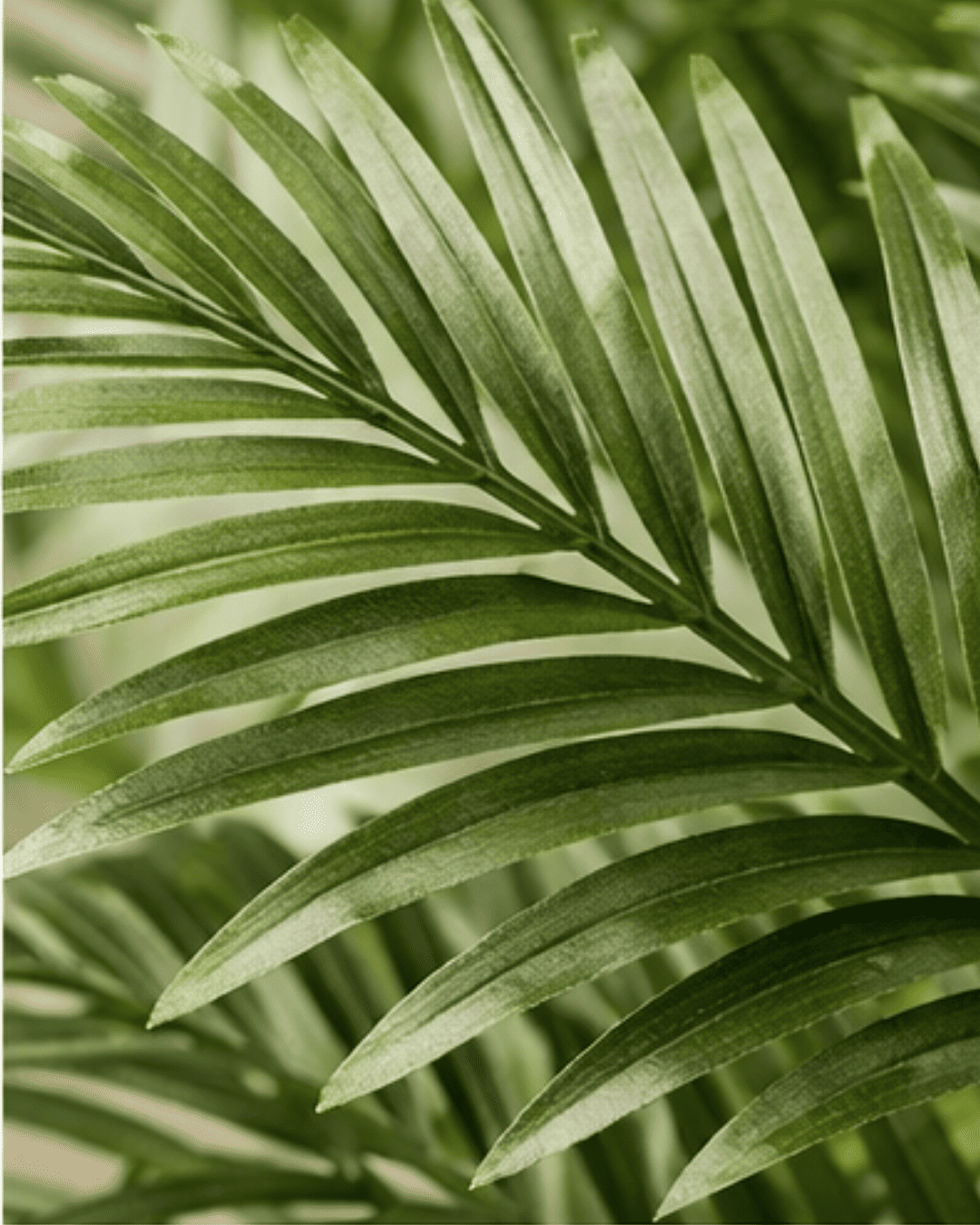 Detalle_planta_nórdica