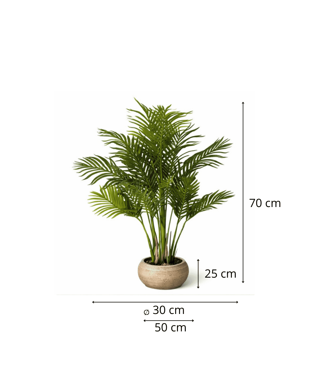 Medidas_planta_nórdica