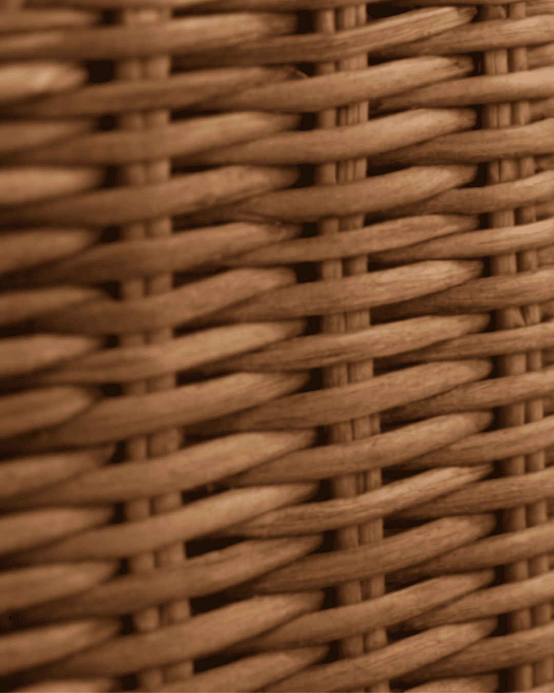 Detalle de cesta fibras naturales